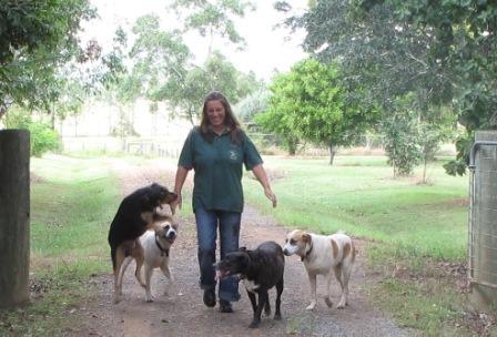 Ali and dogs walking